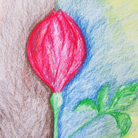 img_3318 img_3318